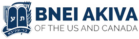 Bnei Akiva of North America Logo